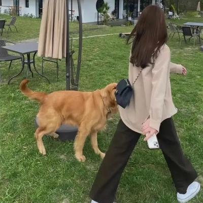 飞天小女警第二季